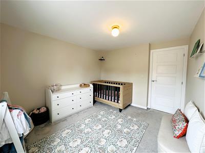 Picture 15